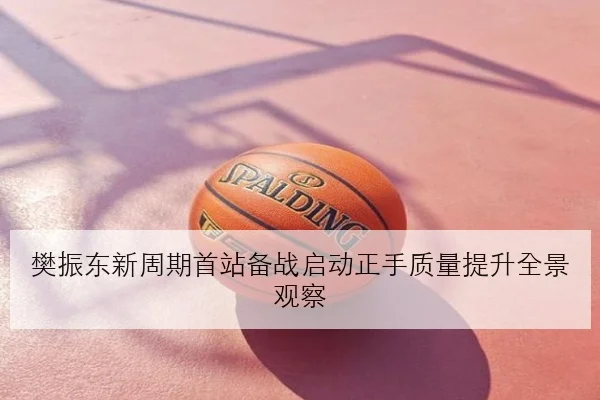 樊振东新周期首站备战启动正手质量提升全景观察